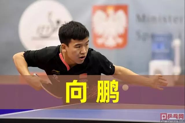 宁忠岩的成 宁忠岩的成