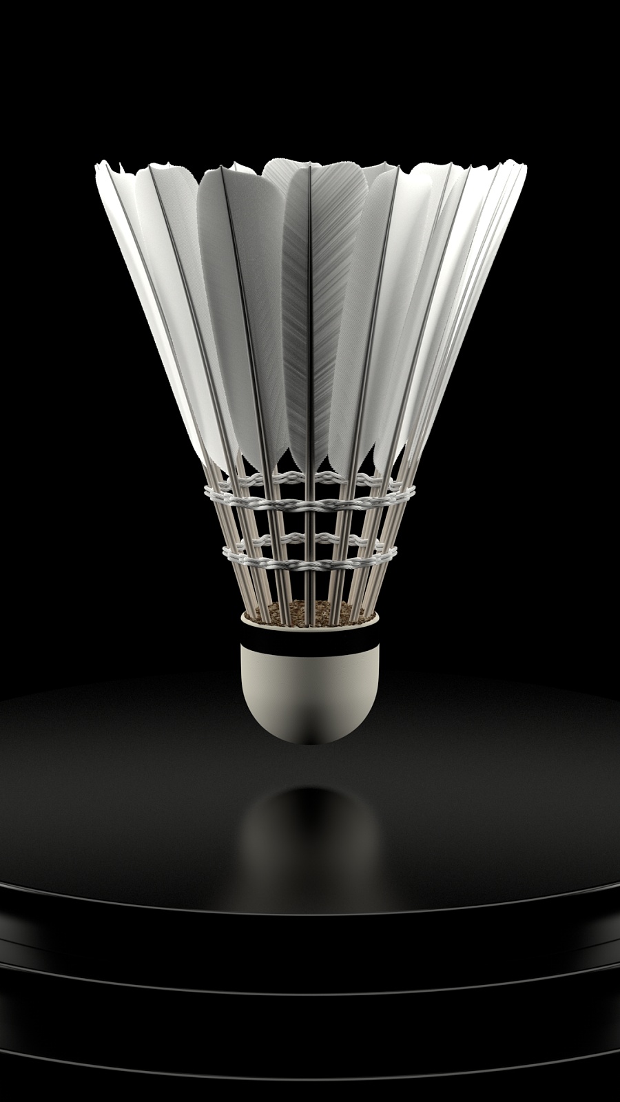 队的第二粒 队的第二粒